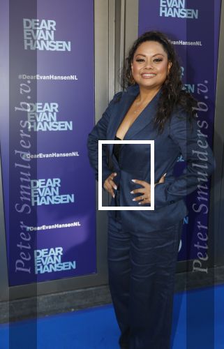 Amsterdam 16 juni 2025
Premiere Dear Evan Hansen in het deLaMar theater .Linda Wagemakers