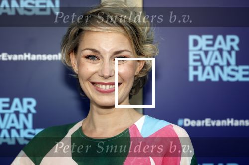 Amsterdam 16 juni 2025
Premiere Dear Evan Hansen in het deLaMar theater . Maartje v Wetering met partner