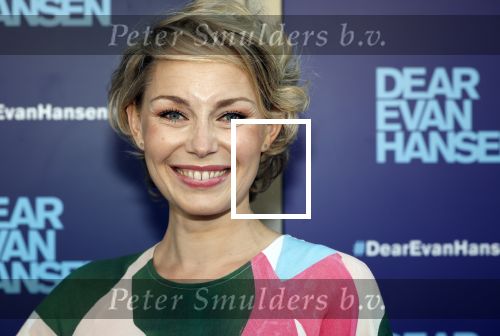 Amsterdam 16 juni 2025
Premiere Dear Evan Hansen in het deLaMar theater . Maartje v Wetering met partner