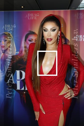 Amsterdam 19 juni 2025
Premiere a drags life bij pathe de munt . Aanwezige hoofdrolspelers zijn Miss Envy Peru en Janey Jacke .