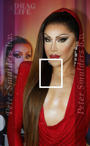 Amsterdam 19 juni 2025
Premiere a drags life bij pathe de munt . Aanwezige hoofdrolspelers zijn Miss Envy Peru en Janey Jacke .