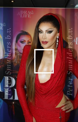 Amsterdam 19 juni 2025
Premiere a drags life bij pathe de munt . Aanwezige hoofdrolspelers zijn Miss Envy Peru en Janey Jacke .
