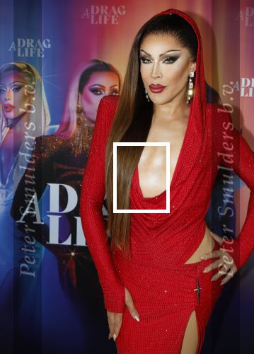 Amsterdam 19 juni 2025
Premiere a drags life bij pathe de munt . Aanwezige hoofdrolspelers zijn Miss Envy Peru en Janey Jacke .
