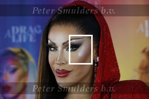 Amsterdam 19 juni 2025
Premiere a drags life bij pathe de munt . Aanwezige hoofdrolspelers zijn Miss Envy Peru en Janey Jacke .