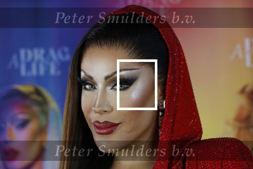 Amsterdam 19 juni 2025
Premiere a drags life bij pathe de munt . Aanwezige hoofdrolspelers zijn Miss Envy Peru en Janey Jacke .