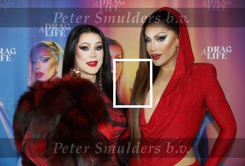 Amsterdam 19 juni 2025
Premiere a drags life bij pathe de munt . Aanwezige hoofdrolspelers zijn Miss Envy Peru en Janey Jacke .