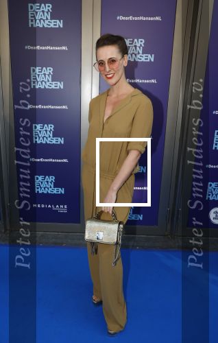 Amsterdam 16 juni 2025
Premiere Dear Evan Hansen in het deLaMar theater . Myrthe Burger