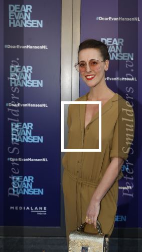 Amsterdam 16 juni 2025
Premiere Dear Evan Hansen in het deLaMar theater . Myrthe Burger