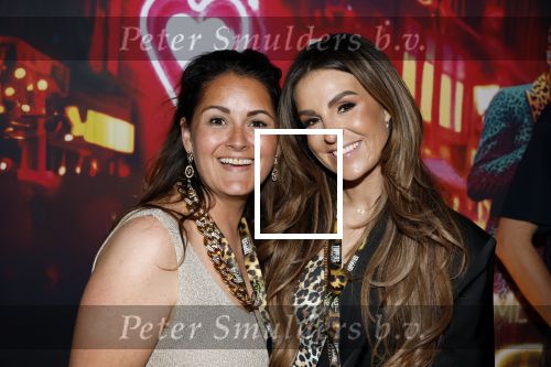 Amsterdam 1 juni 2025
Rene Froger krijgt na de laatste toppers in concert een koninklijke onderscheiding in de Johan Cruyff arena . Natacha Froger en Ann Dominique Wilten