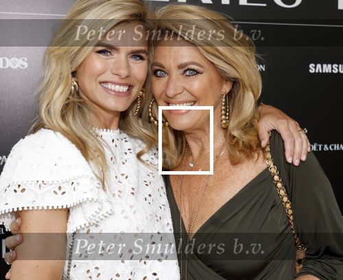 Amsterdam 5 juni 2025
Uiteiking talkies terras awards en presentatie Cover met daarop Nicolette v Dam . Event vond plaats bij Hotel Arena . Nicolette v Dam en haar moeder