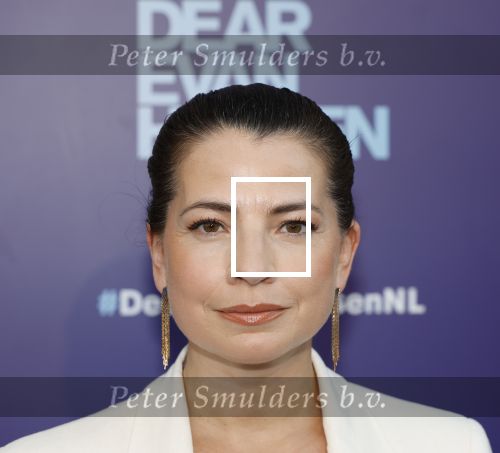 Amsterdam 16 juni 2025
Premiere Dear Evan Hansen in het deLaMar theater . Nyncke Beekhuyzen