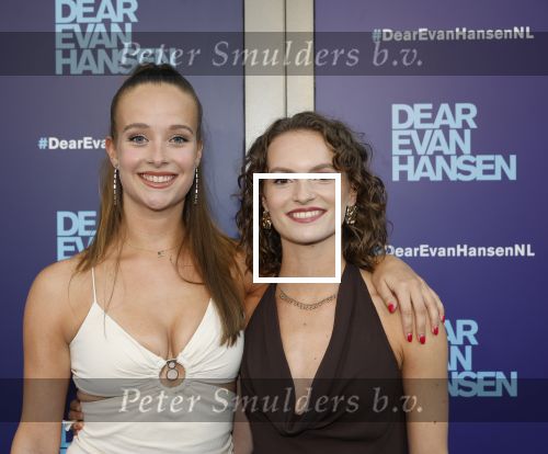 Amsterdam 16 juni 2025
Premiere Dear Evan Hansen in het deLaMar theater .