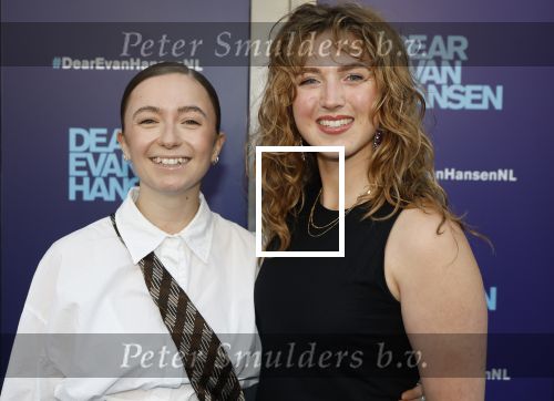 Amsterdam 16 juni 2025
Premiere Dear Evan Hansen in het deLaMar theater .