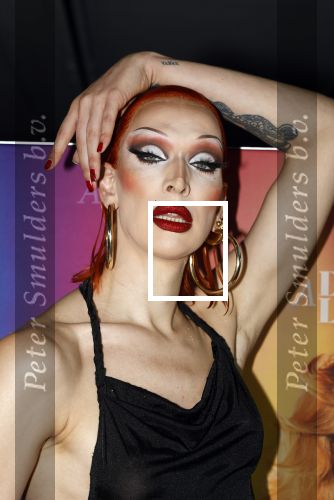 Amsterdam 19 juni 2025
Premiere a drags life bij pathe de munt . Aanwezige hoofdrolspelers zijn Miss Envy Peru en Janey Jacke .
