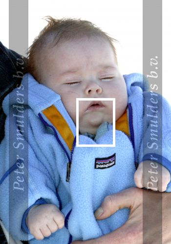Lech 17 maart 2004
Prinses Maxima, Prins Willem Alexander en  Prinses Amalia   in Lech.  
Peter Smulders bv