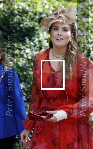 Amersfoort 18 juni 2023
Koning Willem Alexander en Prinses Amalia aanwezig bij de nieuwe standaard die overhandigt zal worden aan het Regiment Huzaren Prinses Catharina-Amalia op de Prins Bernhardkazerne. Het is de eerste keer nadat Prinses Amalia haar arm gebroken heeft na val van het paard .