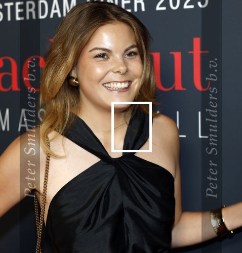Amsterdam 14 juni 2025
Amsterdam diner in het afas live . Prinses Eloise kwam met een vriendin