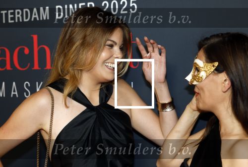 Amsterdam 14 juni 2025
Amsterdam diner in het afas live . Prinses Eloise kwam met een vriendin