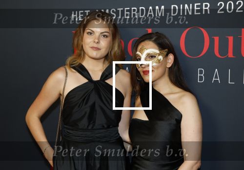 Amsterdam 14 juni 2025
Amsterdam diner in het afas live . Prinses Eloise kwam met een vriendin