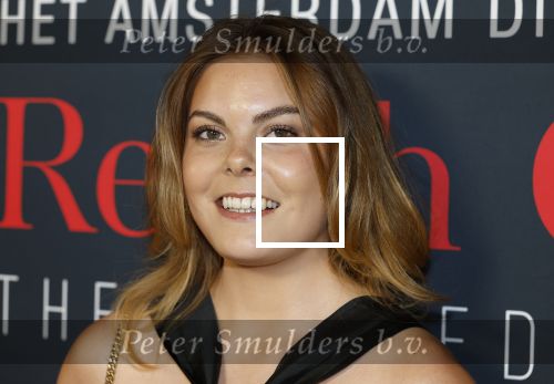 Amsterdam 14 juni 2025
Amsterdam diner in het afas live . Prinses Eloise kwam met een vriendin