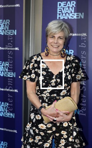 Amsterdam 16 juni 2025
Premiere Dear Evan Hansen in het deLaMar theater . Prinses Laurentien kwam met een vriendin