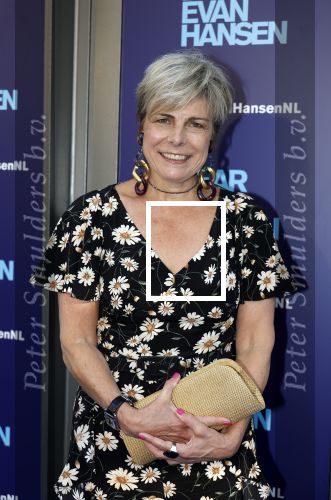 Amsterdam 16 juni 2025
Premiere Dear Evan Hansen in het deLaMar theater . Prinses Laurentien kwam met een vriendin