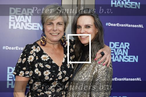 Amsterdam 16 juni 2025
Premiere Dear Evan Hansen in het deLaMar theater . Prinses Laurentien kwam met een vriendin