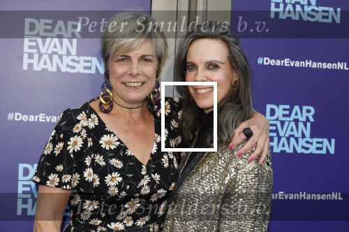 Amsterdam 16 juni 2025
Premiere Dear Evan Hansen in het deLaMar theater . Prinses Laurentien kwam met een vriendin