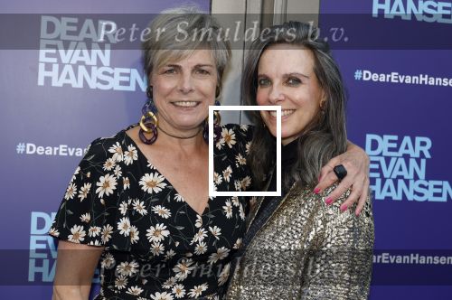 Amsterdam 16 juni 2025
Premiere Dear Evan Hansen in het deLaMar theater . Prinses Laurentien kwam met een vriendin