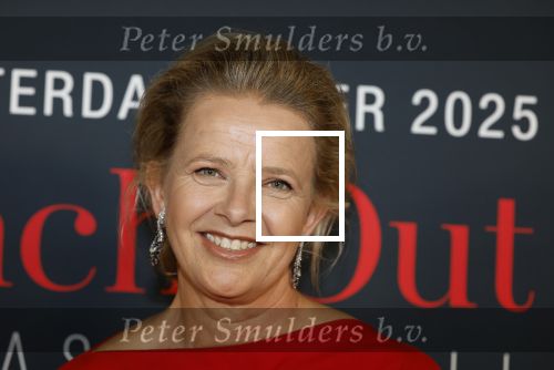 Amsterdam 14 juni 2025
Amsterdam diner in het afas live . Prinses Mabel kwam met haar dochter Gravin Zaria