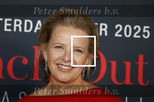 Amsterdam 14 juni 2025
Amsterdam diner in het afas live . Prinses Mabel kwam met haar dochter Gravin Zaria
