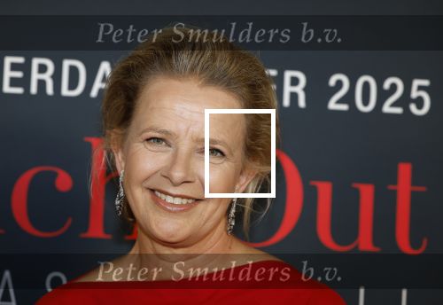 Amsterdam 14 juni 2025
Amsterdam diner in het afas live . Prinses Mabel kwam met haar dochter Gravin Zaria