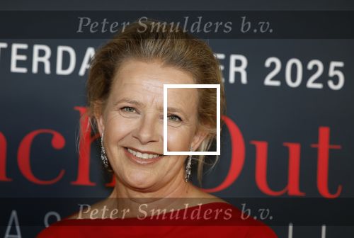 Amsterdam 14 juni 2025
Amsterdam diner in het afas live . Prinses Mabel kwam met haar dochter Gravin Zaria