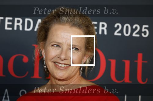 Amsterdam 14 juni 2025
Amsterdam diner in het afas live . Prinses Mabel kwam met haar dochter Gravin Zaria