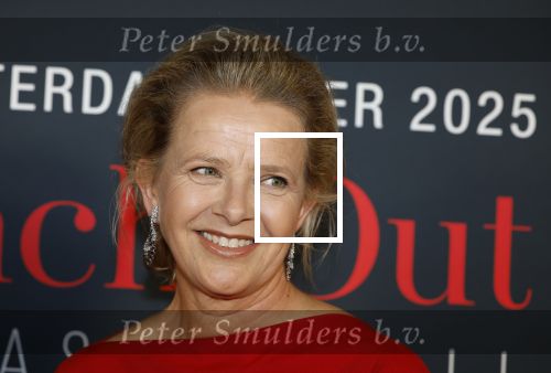Amsterdam 14 juni 2025
Amsterdam diner in het afas live . Prinses Mabel kwam met haar dochter Gravin Zaria