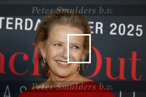 Amsterdam 14 juni 2025
Amsterdam diner in het afas live . Prinses Mabel kwam met haar dochter Gravin Zaria