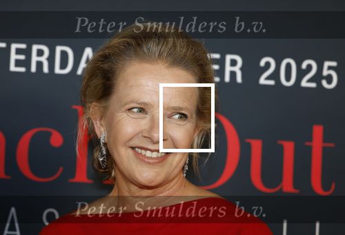 Amsterdam 14 juni 2025
Amsterdam diner in het afas live . Prinses Mabel kwam met haar dochter Gravin Zaria