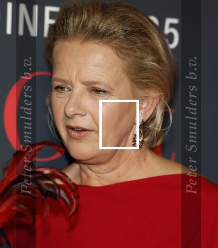 Amsterdam 14 juni 2025
Amsterdam diner in het afas live . Prinses Mabel kwam met haar dochter Gravin Zaria