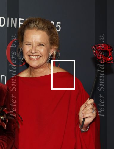 Amsterdam 14 juni 2025
Amsterdam diner in het afas live . Prinses Mabel kwam met haar dochter Gravin Zaria