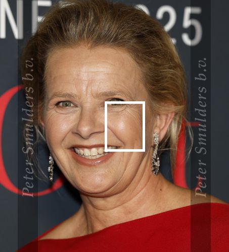 Amsterdam 14 juni 2025
Amsterdam diner in het afas live . Prinses Mabel kwam met haar dochter Gravin Zaria