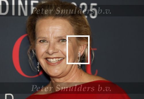 Amsterdam 14 juni 2025
Amsterdam diner in het afas live . Prinses Mabel kwam met haar dochter Gravin Zaria