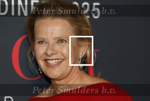 Amsterdam 14 juni 2025
Amsterdam diner in het afas live . Prinses Mabel kwam met haar dochter Gravin Zaria