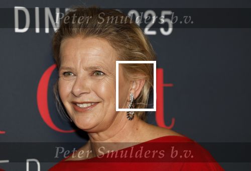 Amsterdam 14 juni 2025
Amsterdam diner in het afas live . Prinses Mabel kwam met haar dochter Gravin Zaria