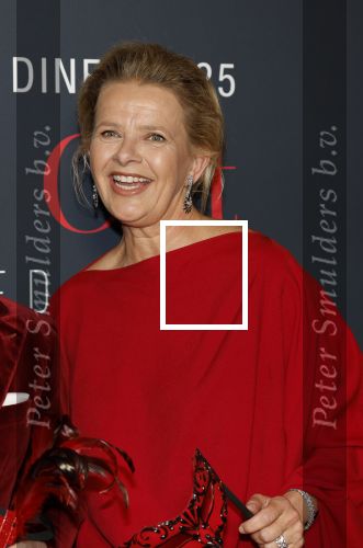 Amsterdam 14 juni 2025
Amsterdam diner in het afas live . Prinses Mabel kwam met haar dochter Gravin Zaria