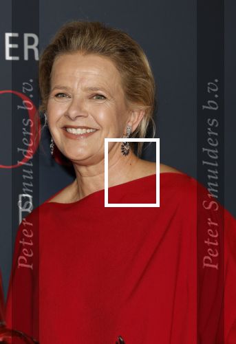 Amsterdam 14 juni 2025
Amsterdam diner in het afas live . Prinses Mabel kwam met haar dochter Gravin Zaria