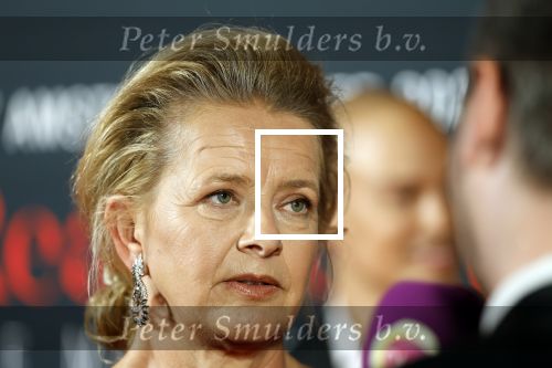 Amsterdam 14 juni 2025
Amsterdam diner in het afas live . Prinses Mabel kwam met haar dochter Gravin Zaria
