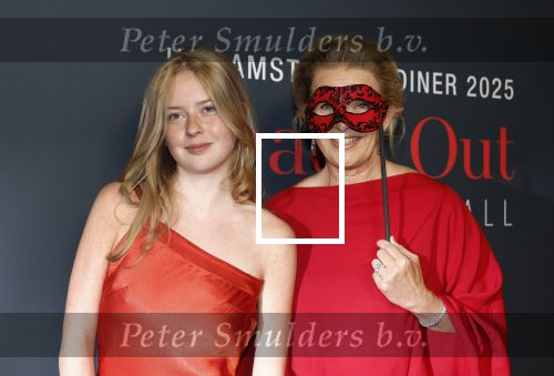 Amsterdam 14 juni 2025
Amsterdam diner in het afas live . Prinses Mabel kwam met haar dochter Gravin Zaria
