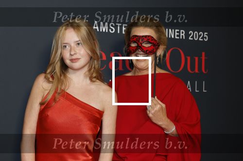 Amsterdam 14 juni 2025
Amsterdam diner in het afas live . Prinses Mabel kwam met haar dochter Gravin Zaria