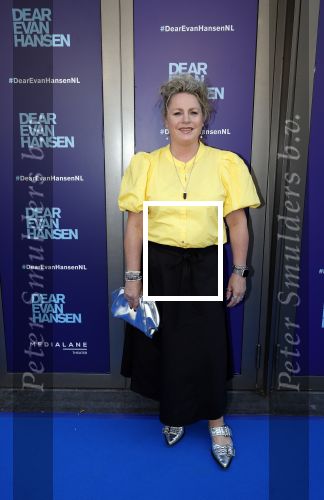 Amsterdam 16 juni 2025
Premiere Dear Evan Hansen in het deLaMar theater . Rian Gerritsen