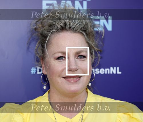 Amsterdam 16 juni 2025
Premiere Dear Evan Hansen in het deLaMar theater . Rian Gerritsen